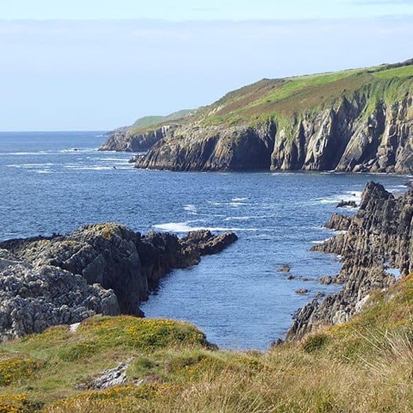 The Cove