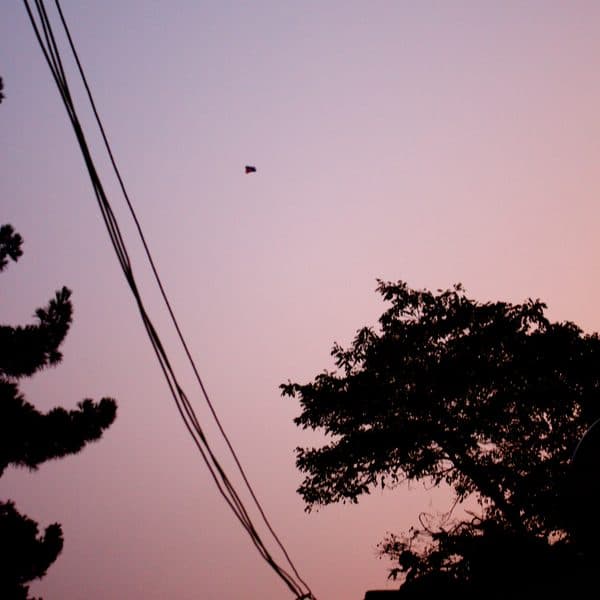 The Kite Runner